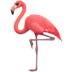 :flamingo: :flamingo:
